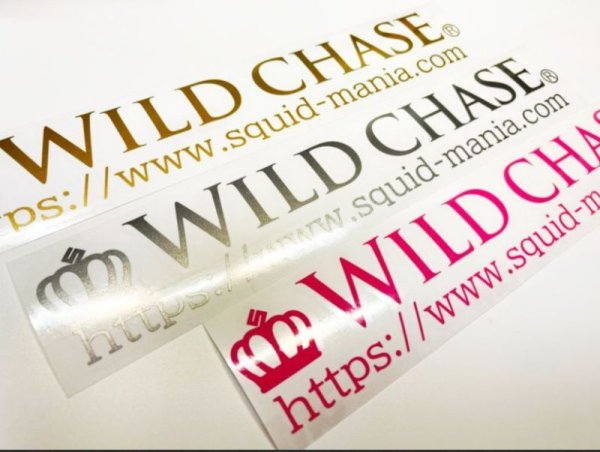 画像1: カッティングWILDCHASE（W300）[3M Japan 製] (1)