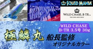 徳島遊漁船極鱗丸B-TRオリカラ新登場！！