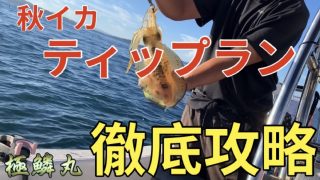 徳島遊漁船極鱗丸ティップラン攻略動画